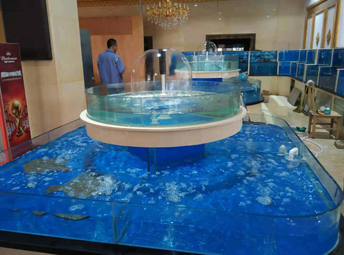 酒店餐厅海鲜池的设计构思及原材料的挑选 酒店餐厅海鲜池的设计构思及原材料的挑选